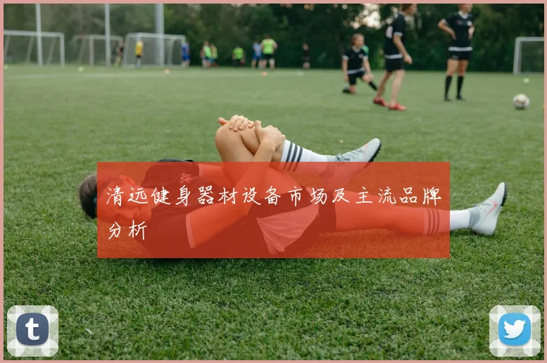清远健身器材设备市场及主流品牌分析